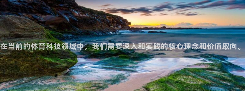 在当前的体育科技领域中，我们需要深入和实践的核心理念和价值取向。