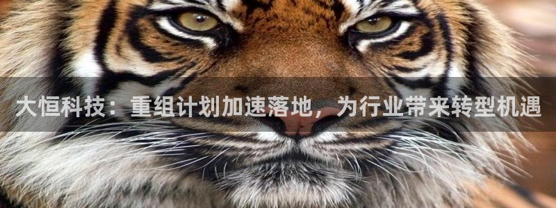 大恒科技：重组计划加速落地，为行业带来转型机遇