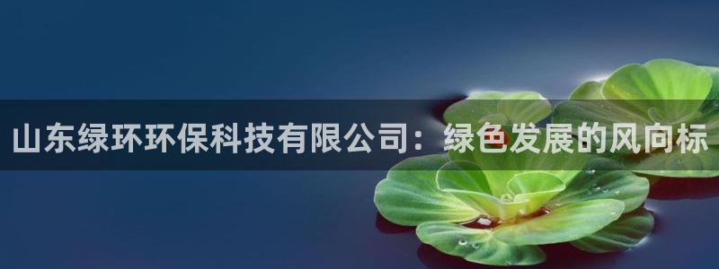 山东绿环环保科技有限公司：绿色发展的风向标